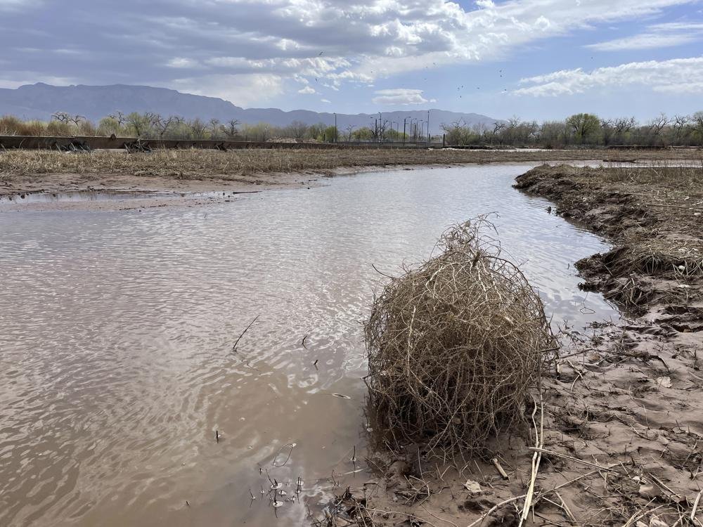 Sequía en expansión deja al oeste de EE. UU. luchando por agua