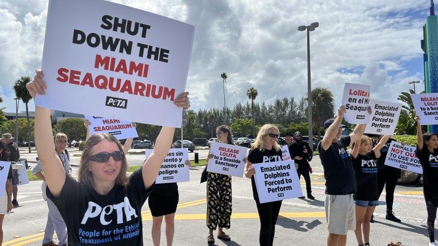 Activistas piden el cierre del Acuario de Miami