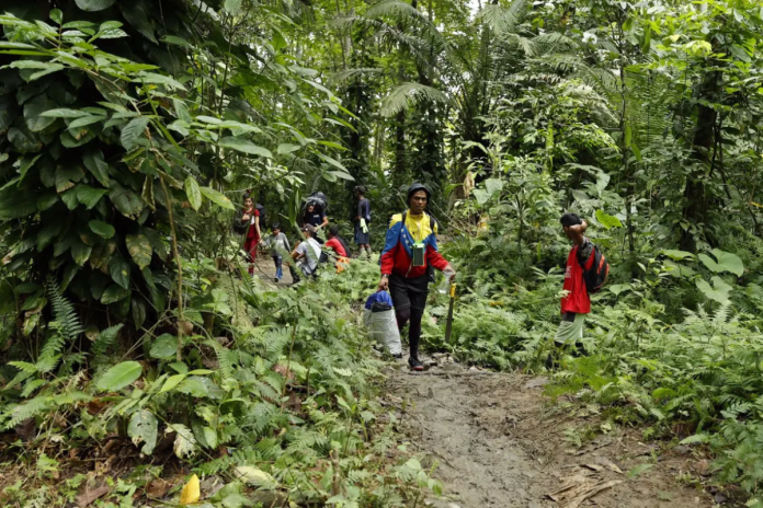 Empresa de turismo de lujo ofrece aventura por el Darién