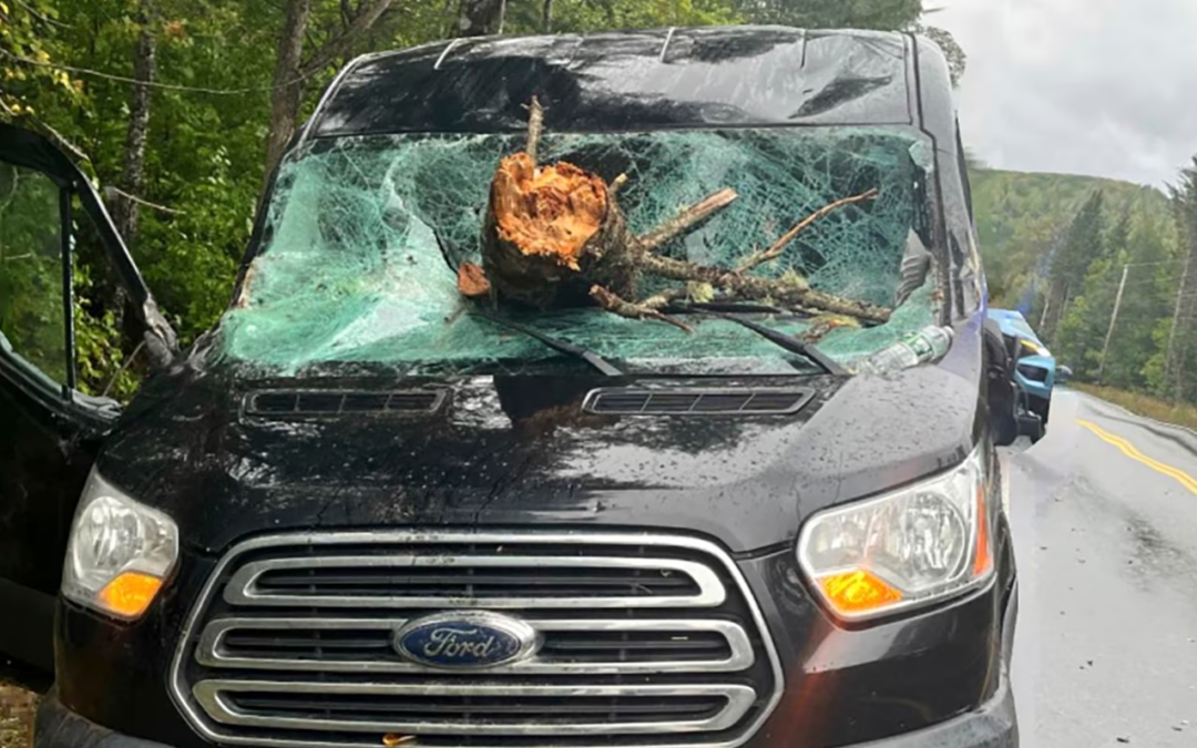 Tormenta Lee deja noreste de EEUU tras vendavales y lluvias