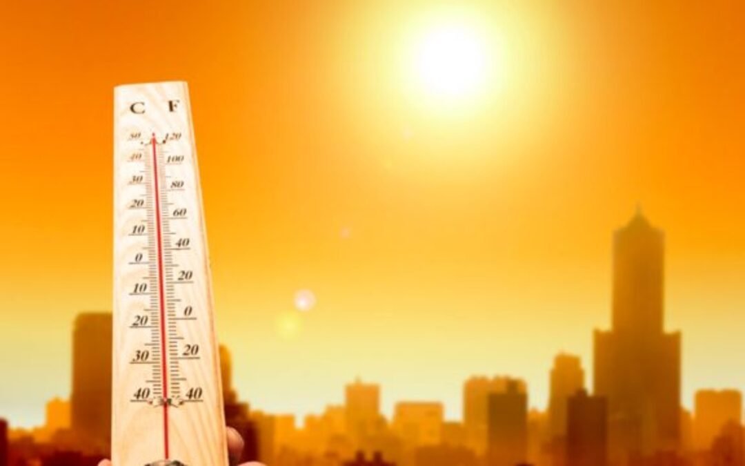 2023, el año más caluroso de la historia