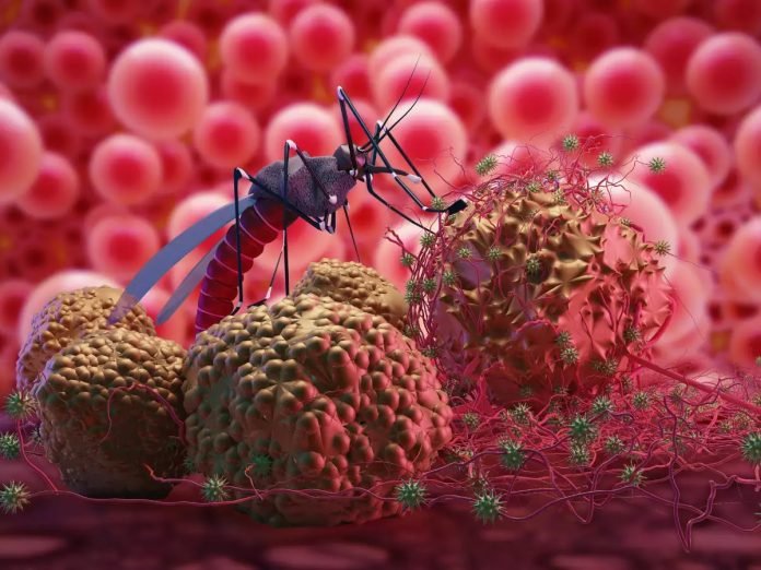 Muertes por malaria disminuyeron en América Latina 60 % en lo que va de siglo