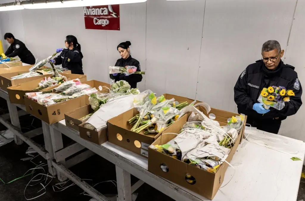 Miami recibe toneladas de flores para San Valentín