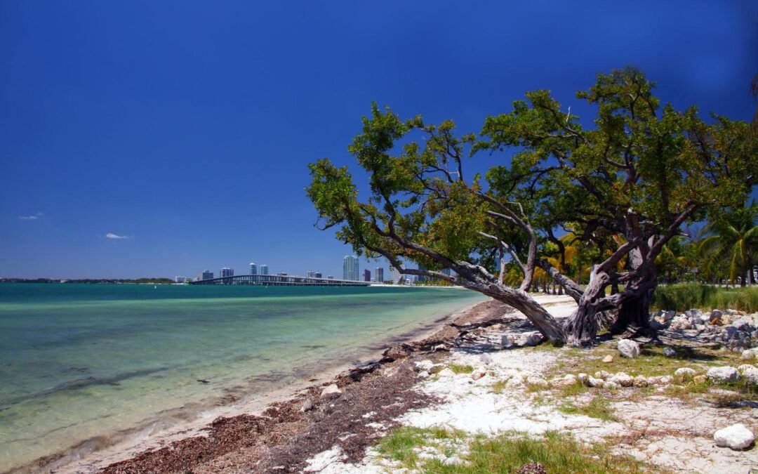 Condado de Miami-Dade cambia el nombre de una sección de Hobie Beach