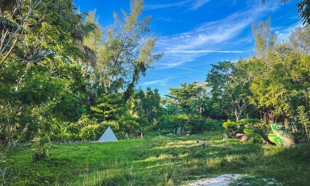 Jardín Botánico en Miami en riesgo de cerrar