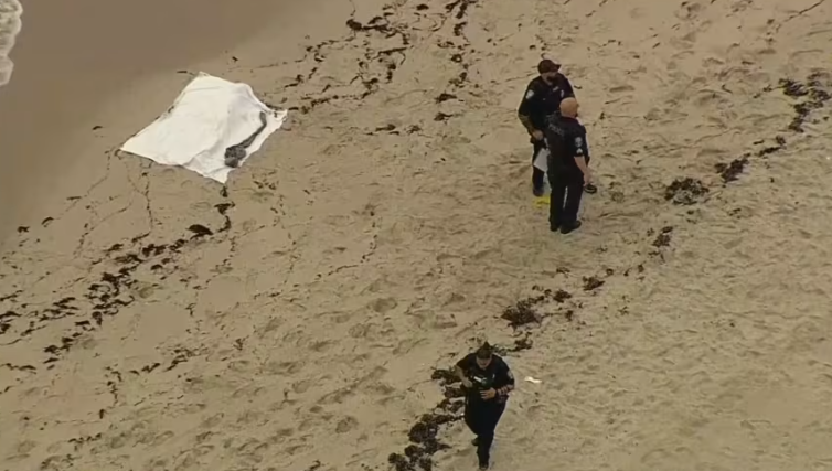 Encuentran cadáver en la orilla de Hollywood Beach