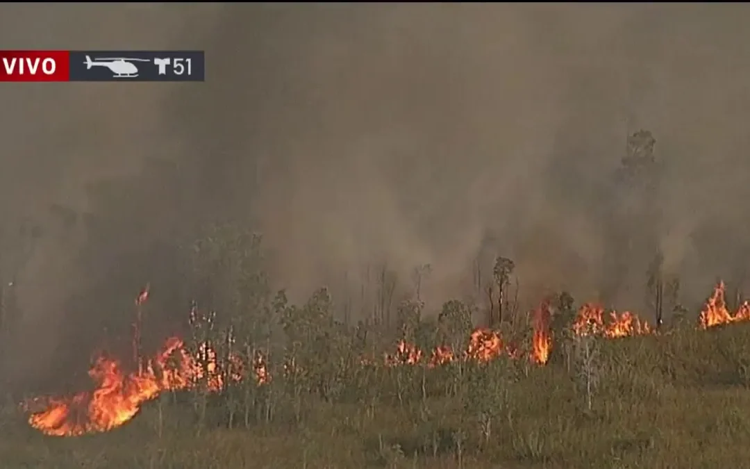 Sequía y fuertes vientos favorecen incendio forestal en Miami-Dade