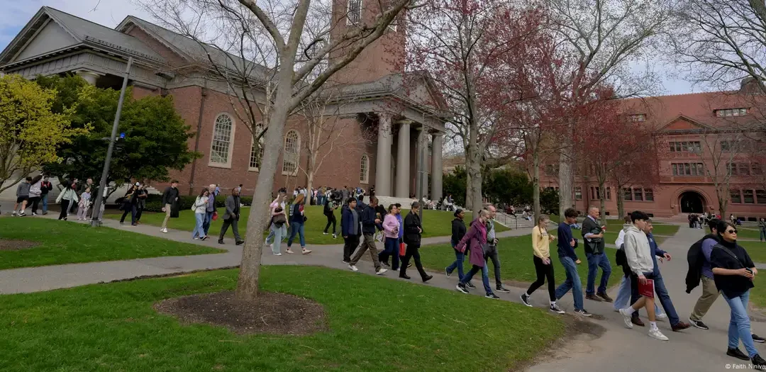 Trump planea recortar USD 1.000 millones más a Harvard