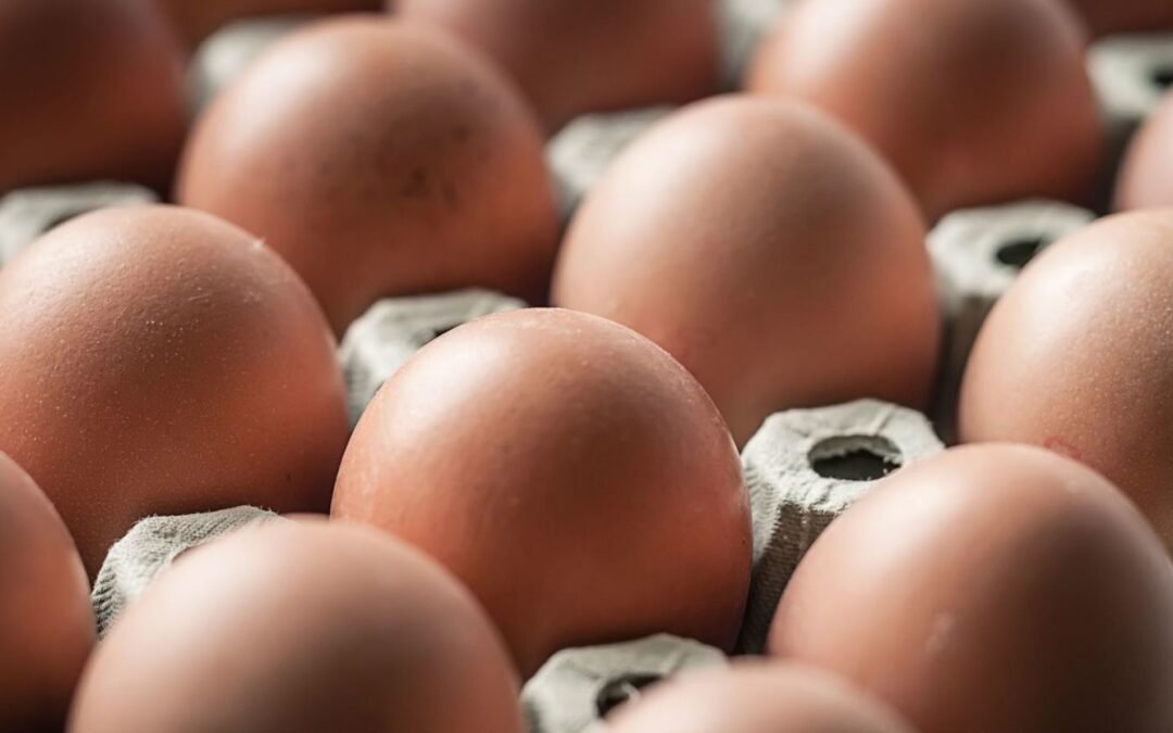 EEUU en alerta por brote de salmonella vinculado en marca de huevos