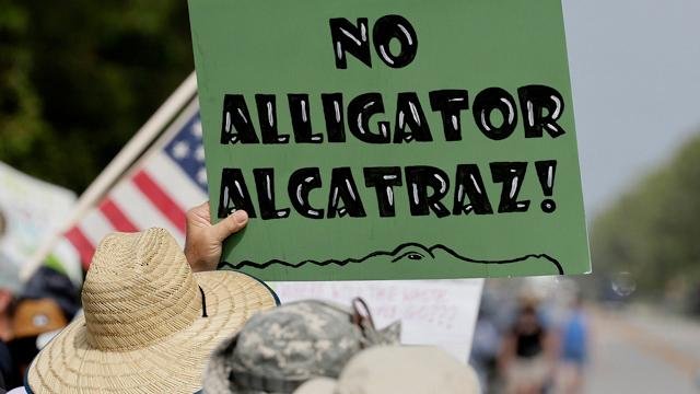 Ecologistas demandan la construcción de «Alligator Alcatraz»