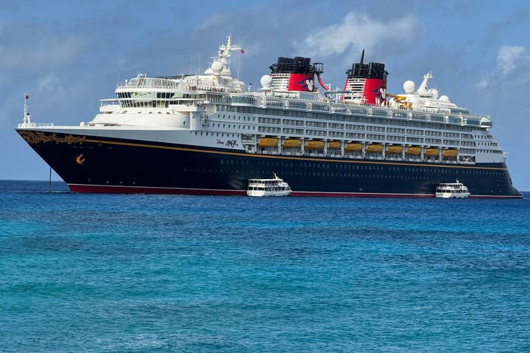 Una niña y su padre son rescatados tras caer por la borda de un crucero de Disney
