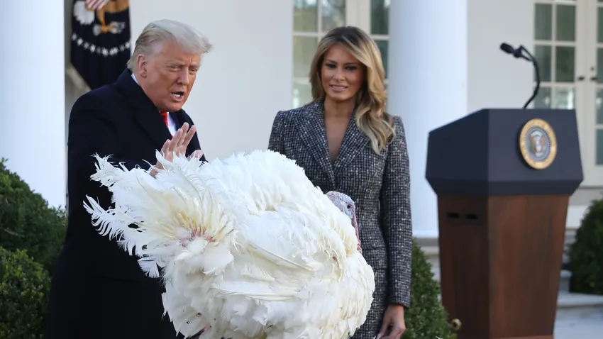 Trump indulta a los pavos «Waddle» y «Gobble» entre bromas políticas y preparativos para Acción de Gracias