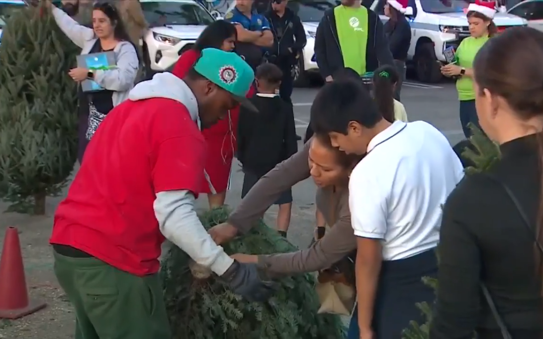 FPL y Boys & Girls Clubs realizan entrega de 200 arbolitos de Navidad en Miami-Dade