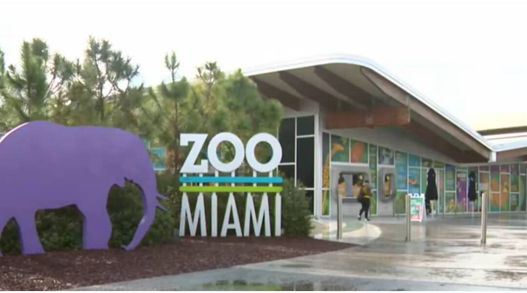 Refuerzan seguridad en Zoo Miami tras oleada de falsas amenazas de bomba