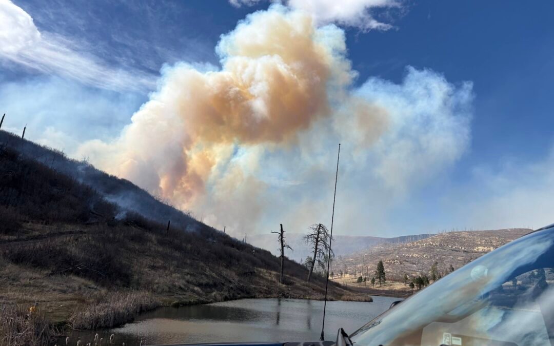 El incendio «Sandy» devasta Simi Valley en California