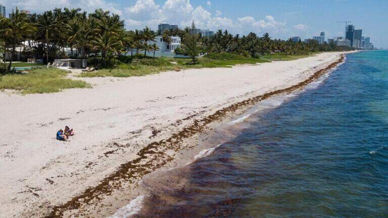 Emiten alerta sanitaria en tres playas de Miami-Dade por bacterias