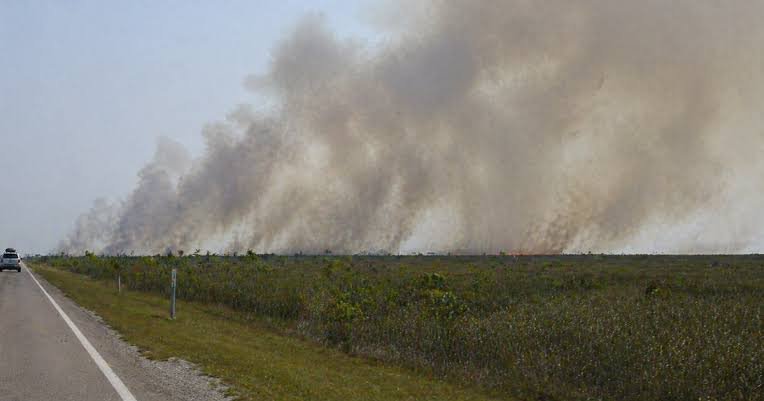 Incendio consume 750 acres en el suroeste de Miami-Dade y provoca alertas en vías aledañas